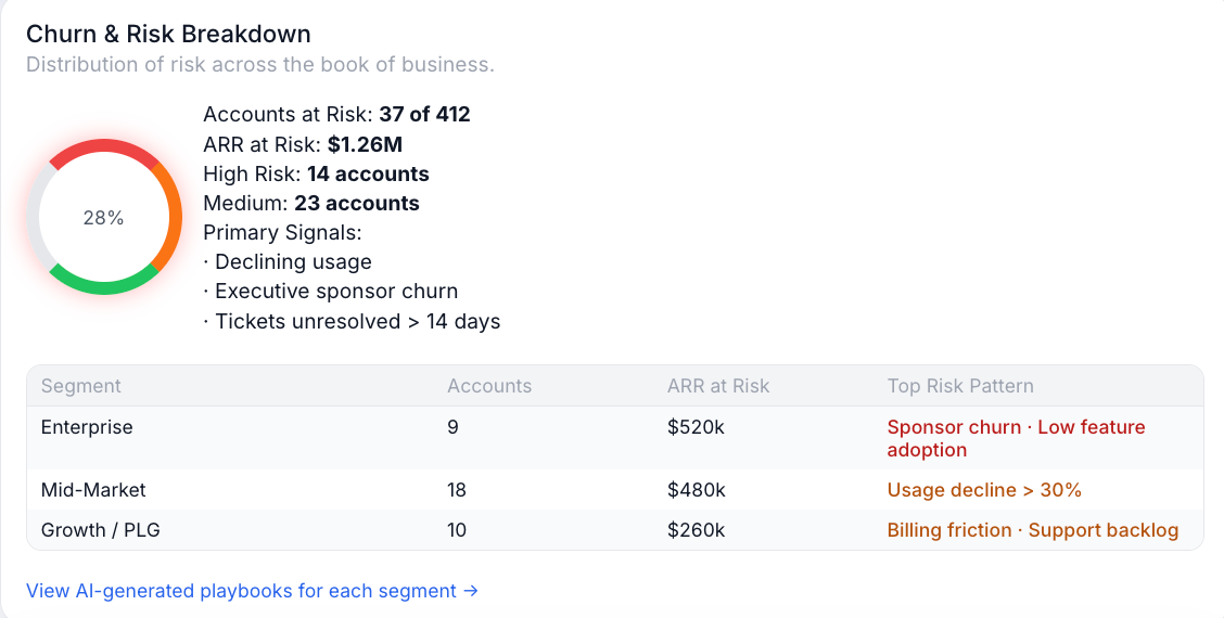 Turais churn risk view for customer accounts
